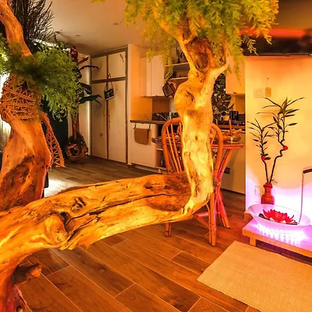 Jungle Spa - Cocon Romantique Et Tropical Avec Jacuzzi Prive ! Pézenas Extérieur photo