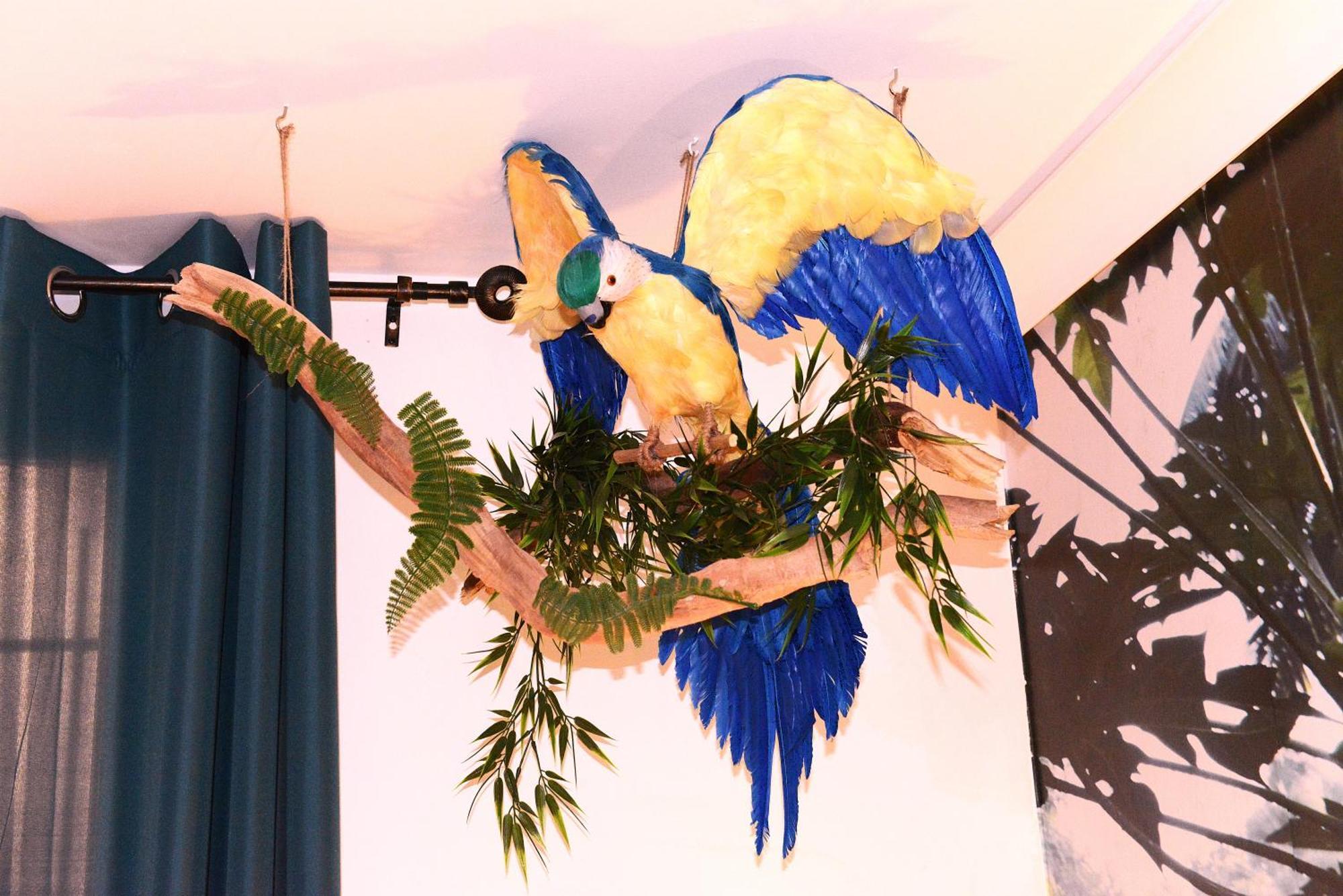 Jungle - Cocon Romantique Et Tropical Avec Jacuzzi Prive ! Apartment *